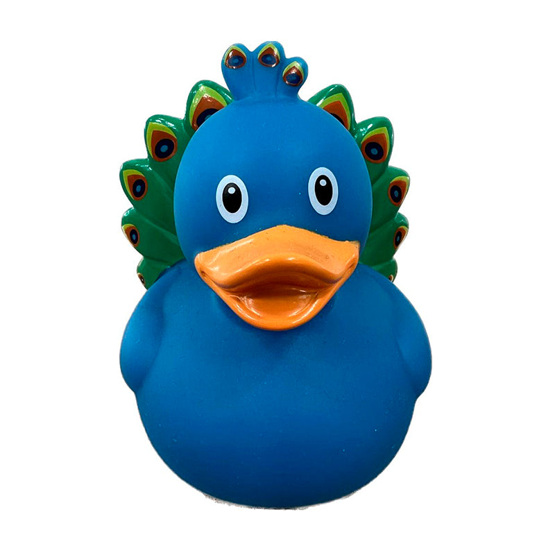 Pavo Real Duck