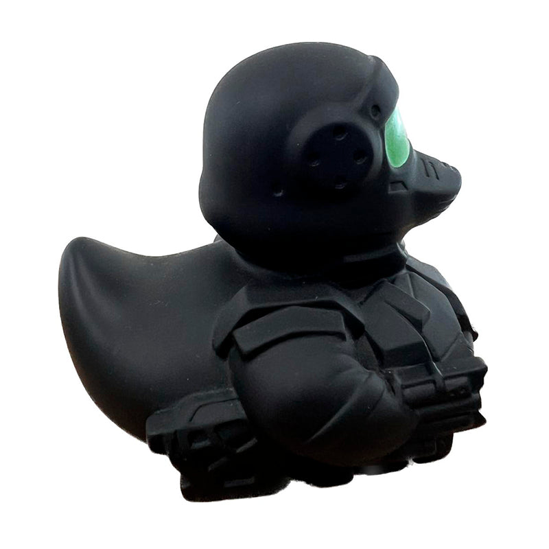 Black Soldier Duck