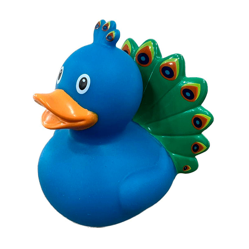 Pavo Real Duck