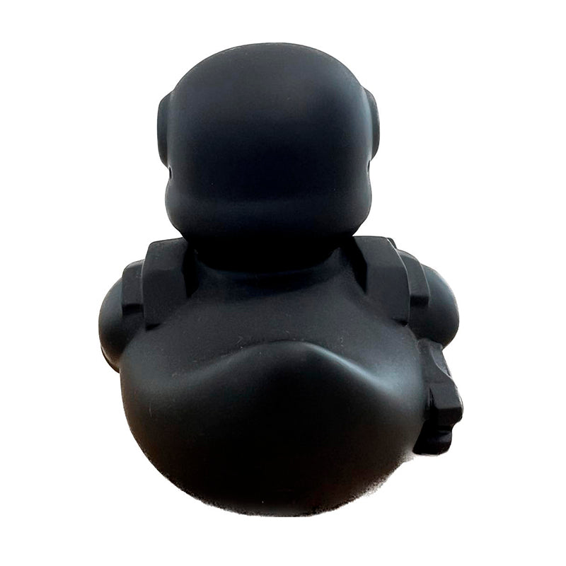 Black Soldier Duck